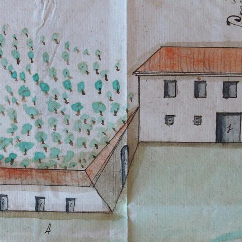 Arquivo do Reino de Galicia. Real Audiencia de Galicia. Plano da fonte do Revel e dos terreos que rega na parroquia de San Pedro de Vilalonga. 1752, decembro, 3 / Frai Manuel de los Mártires.