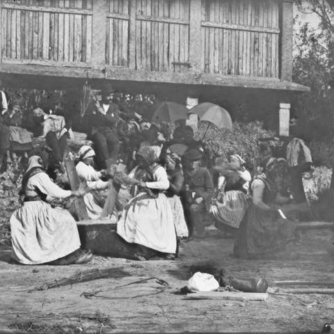 Arquivo do Reino de Galicia. Colección fotográfica. A Coruña. Mulleres traballando nas labores do liño. Ca. 1935. Sign.: 2429.