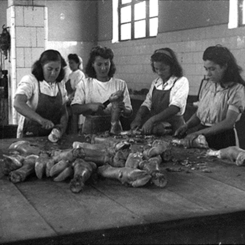 Lugo. Mulleres en Industrias Abella. J. L. Vega,1945. Sig. 1003-3