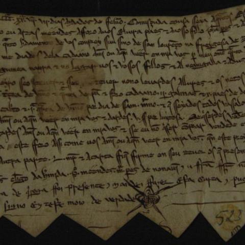 Documento 3: Colección de documentos en pergamiño. Areas Méndez afora a Elvira Páez e aos seus fillos o que posúe en Navín. 1289, febreiro, 7. 1 doc. en perg., 110 x 155 mm. Galego, letra gótica de albalaes. Sign.: P-523