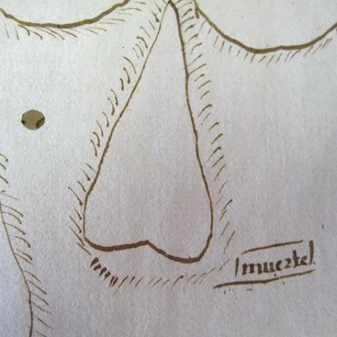 Dibujo en un pleito del fondo de la Real Audiencia de Galicia: ¿la caperuza de un verdugo? Detalle. En 1564, outubro, 20/1565, xuño, 2. A Coruña . Preito entre Gaspar Gato, escribán da cidade de Ourense, con Gonzalo Enríquez, mercader, sobre débedas. RAG 681/25.