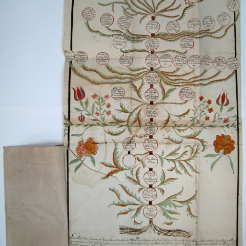 Ca. 1680. Árbol genealógico de la familia de los Palmeiro, que mudaron su apellido por el de Varela...