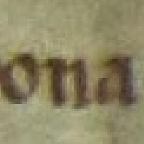 Arquivo do Reino de Galicia. Colección de documentos en pergamiño. Guntrode, María e Marina González, fillas de Gonzalo Pérez, chamado Noite Boa, venden ao monxe Pedro Calvo e ó mosteiro de Santa María de Monfero os bens que posúen en Fraemelle polo prezo dunha boa vaca.1245, abril, [S.l.]. Fragmento. Sign.: 104