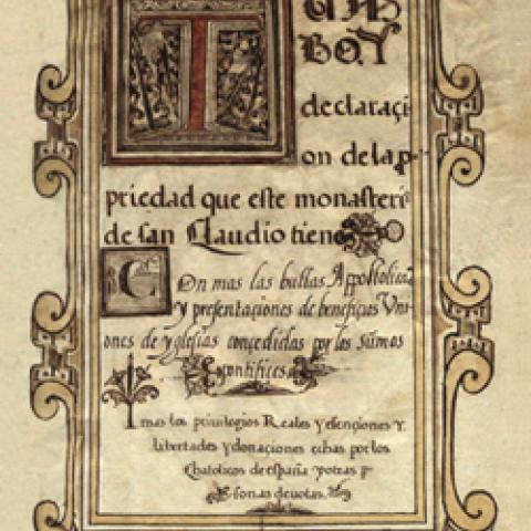 Fronda nº28