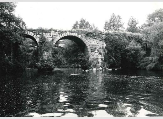 ponte freixo