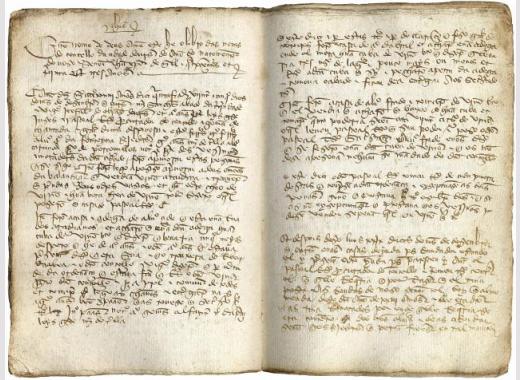 Libro de notas del Concejo de Ourense del año 1433. Inserto en: “Libro de acuerdos de los años de 1432 asta 37”.