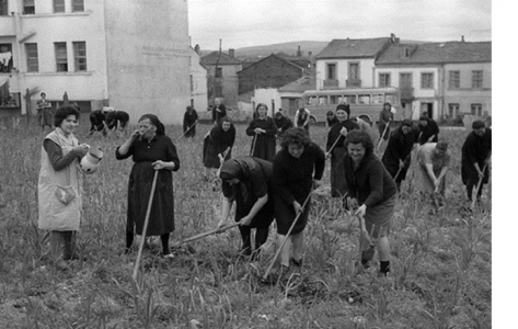 Lugo. Mulleres sachando allos en Fingoi. J.L. Vega, 1964. Sig. 59118-3