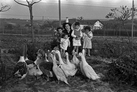 Lugo. Nai e fillos na granxa. J.L. Vega, 1950. Sig. 1845-11